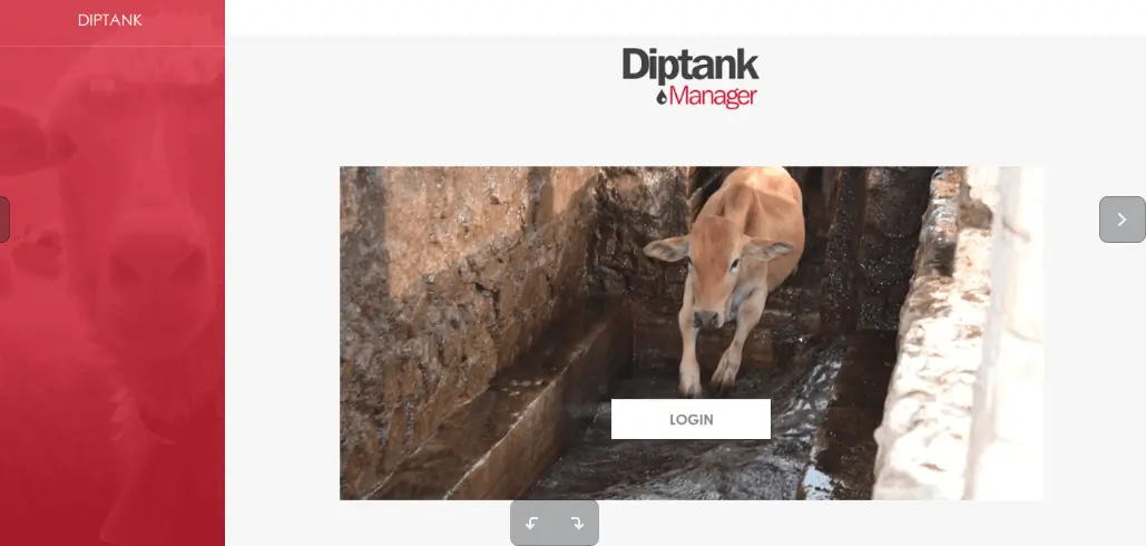 Diptank Web App